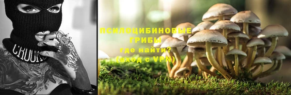 ALPHA-PVP Баксан