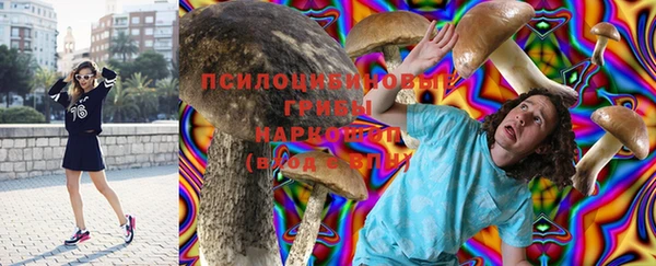 стаф Балахна