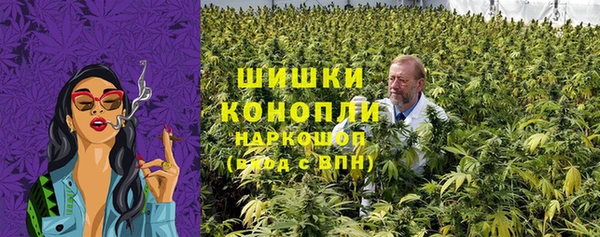стаф Балахна
