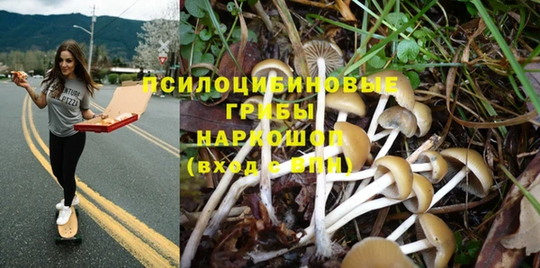 спайс Балабаново