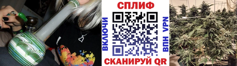 Конопля сатива  Петухово 